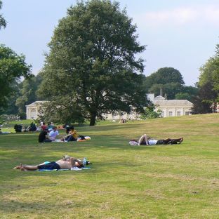 Hampstead Heath