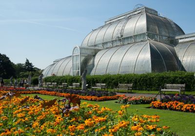 Palm House a Kew Gardens