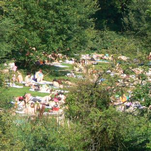 Hampstead Heath