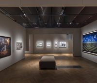 Installation images of 'Fragile Beauty' at V&A South Kensington © Victoria and Albert Museum, London