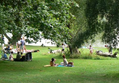 Hampstead Heath