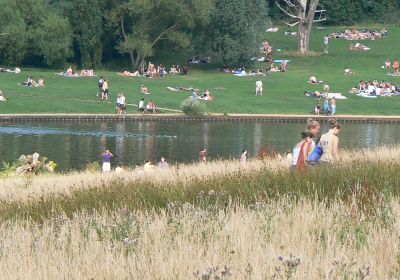 Hampstead Heath
