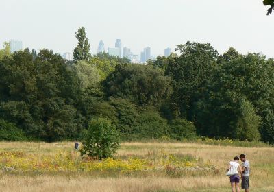 Hampstead Heath