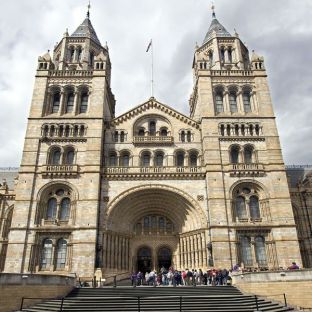 Museo di Storia Naturale Londra © The Trustees of the Natural History Museum, London [2017]. All rights reserved