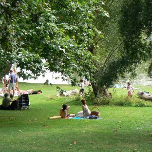 Hampstead Heath