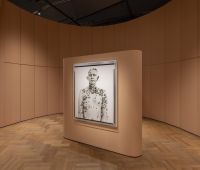 Installation images of 'Fragile Beauty' at V&A South Kensington © Victoria and Albert Museum, London