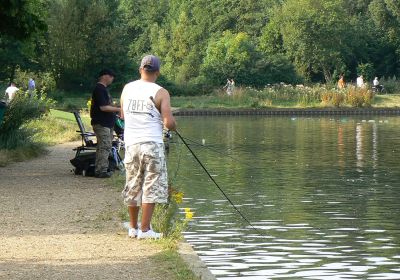 Hampstead Heath