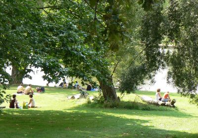 Hampstead Heath