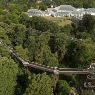 Treetop Walkway, Kew Gardens