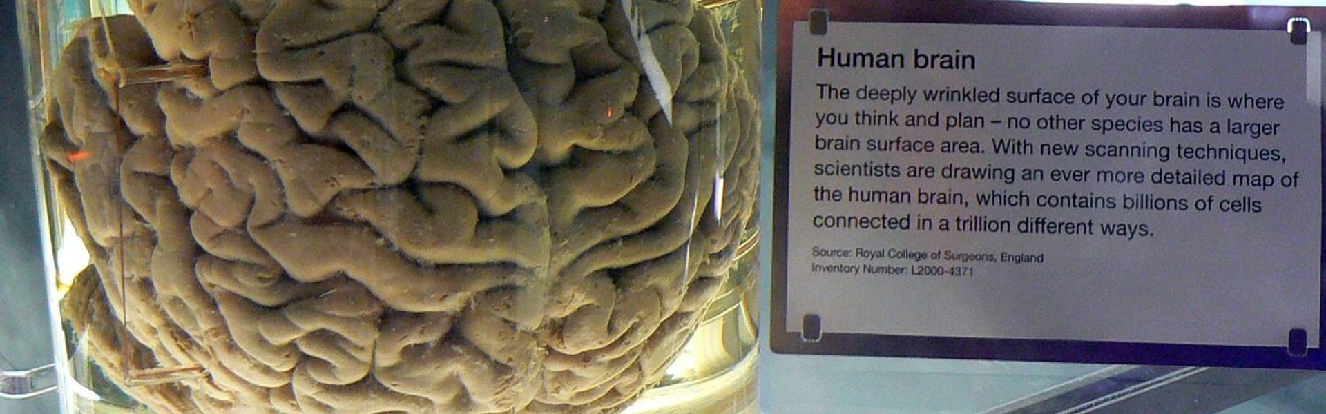 Science Museum
