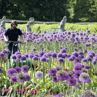 PH parterre. Credit: RBG Kew