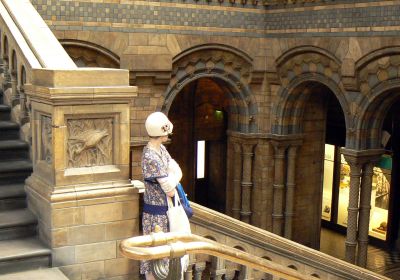 Natural History Museum © PGoduto