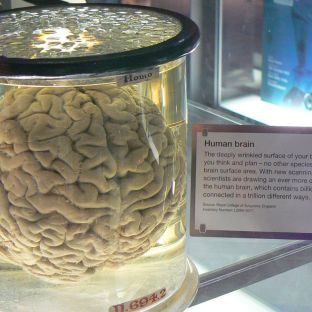 Science Museum