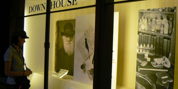 Tour Museo di Storia Naturale Londra con guida italiana