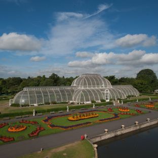 Palm House, Kew Gardens