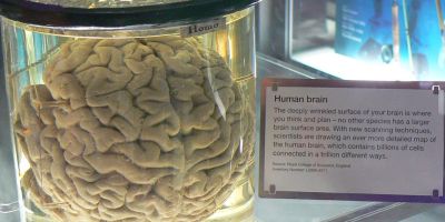 Science Museum