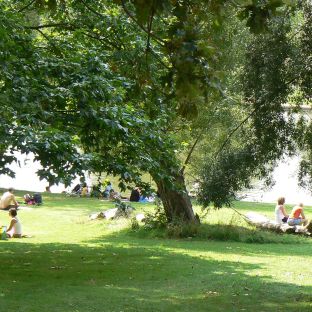 Hampstead Heath