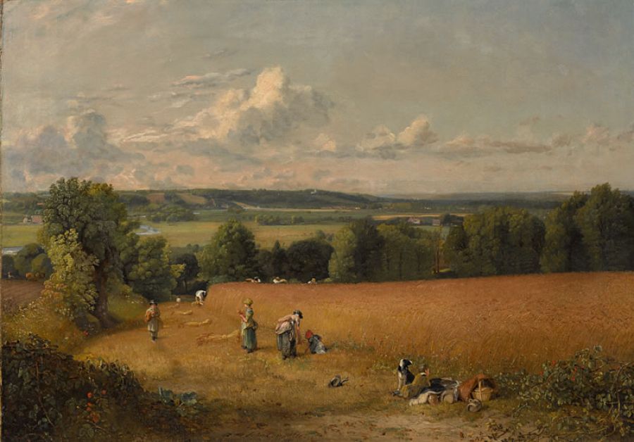 X12191 John Constable The Wheat Field, 1816 Oil on canvas 54.6 x 78.1 cm © Sterling and Francine Clark Art Institute, Williamstown, Massachusetts, USA (2007.8.27)