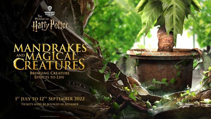 Harry Potter Serra magica