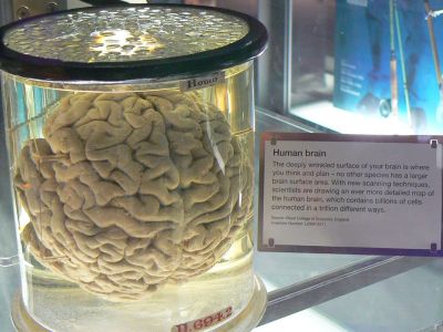 Science Museum