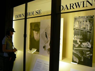 Tour Museo di Storia Naturale Londra con guida italiana