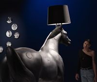 Installation view of Objects of Desire, Andy Stagg for the Design Museum-0010