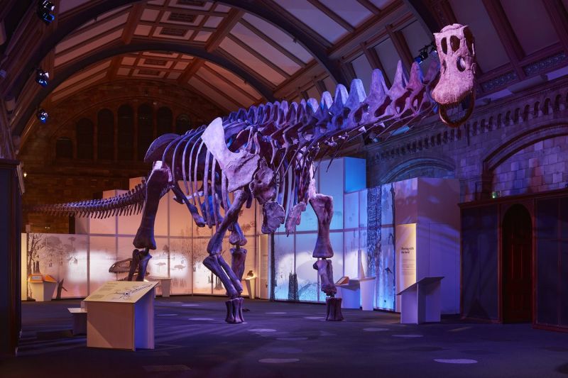 Mostra Titanosaur Londra