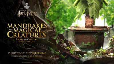 Harry Potter Serra magica