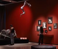 Installation view of Objects of Desire, Andy Stagg for the Design Museum-0015